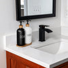 Glass Soap Dispenser Set, Contains Glass Hand Soap Dispenser and Glass Dish Soap Dispenser. Kitchen Soap Dispenser Set Suitable for Black and White Kitchen Decor